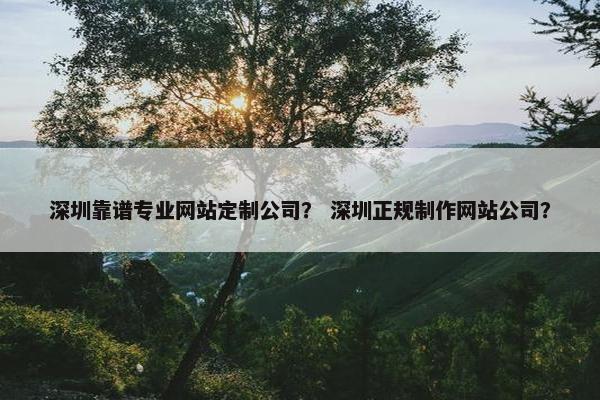 深圳靠谱专业网站定制公司？ 深圳正规制作网站公司？