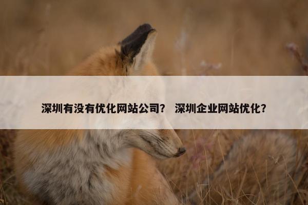 深圳有没有优化网站公司？ 深圳企业网站优化？