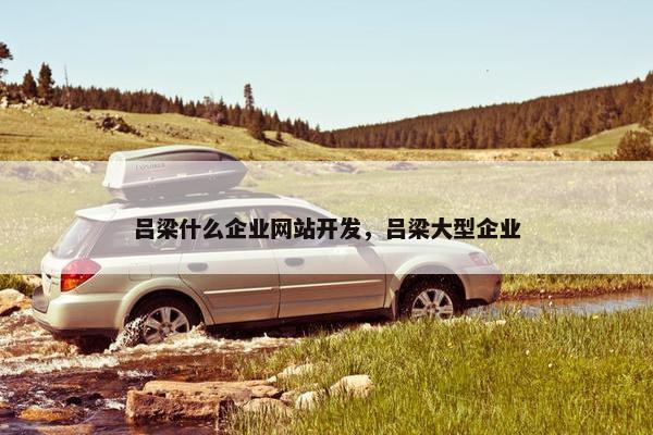 吕梁什么企业网站开发，吕梁大型企业