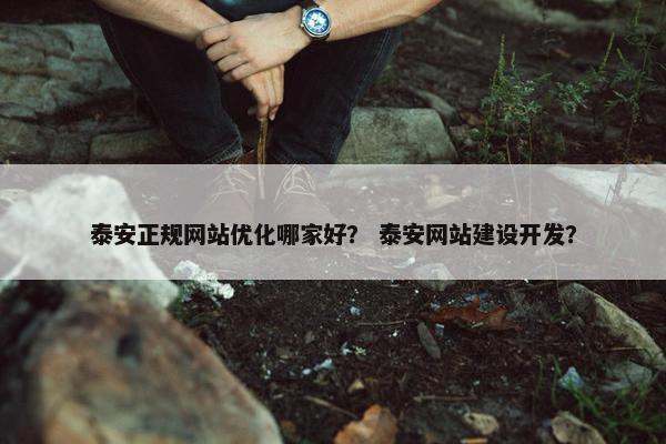 泰安正规网站优化哪家好？ 泰安网站建设开发？