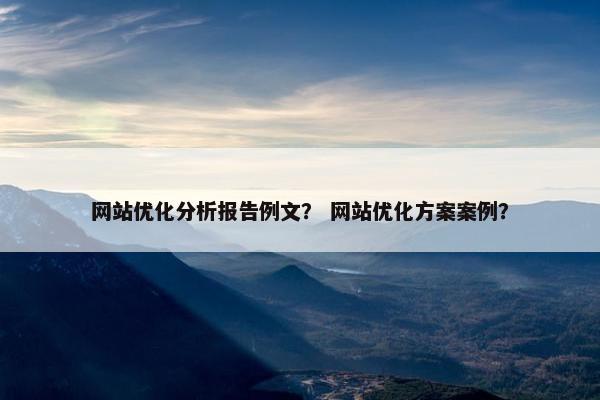 网站优化分析报告例文？ 网站优化方案案例？