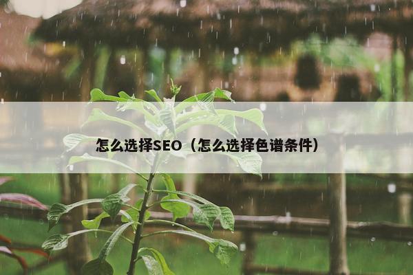 怎么选择SEO（怎么选择色谱条件）