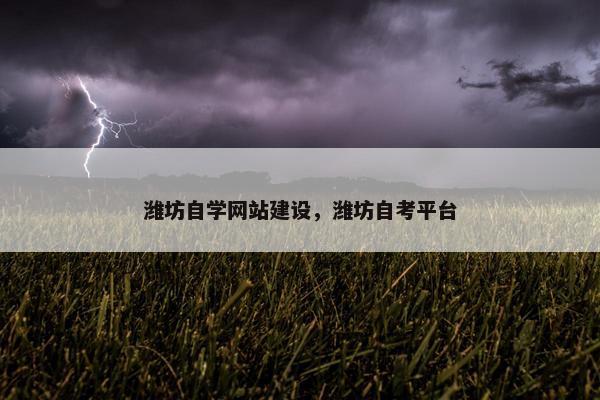 潍坊自学网站建设，潍坊自考平台