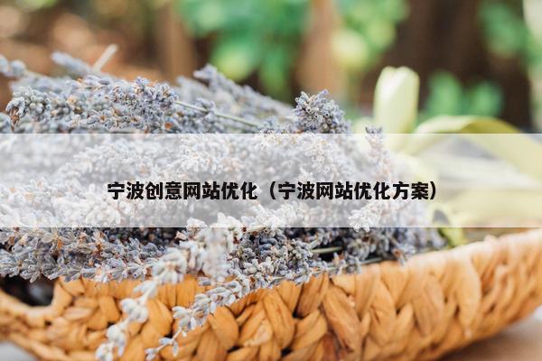 宁波创意网站优化（宁波网站优化方案）