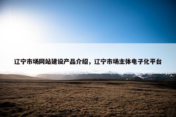 辽宁市场网站建设产品介绍，辽宁市场主体电子化平台