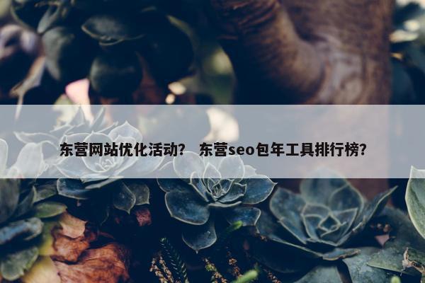 东营网站优化活动？ 东营seo包年工具排行榜？