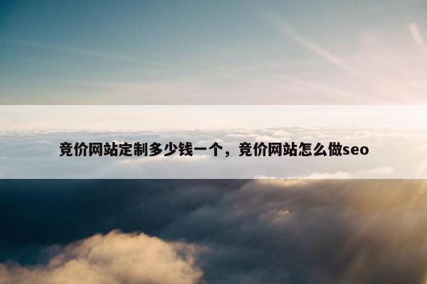 竞价网站定制多少钱一个，竞价网站怎么做seo