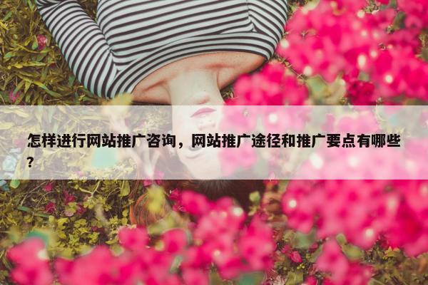 怎样进行网站推广咨询，网站推广途径和推广要点有哪些?