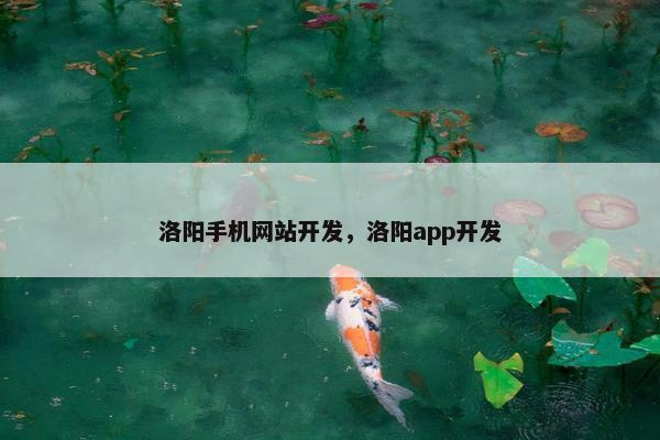 洛阳手机网站开发，洛阳app开发