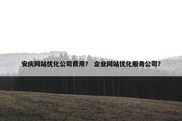 安庆网站优化公司费用？ 企业网站优化服务公司？