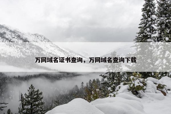 万网域名证书查询，万网域名查询下载