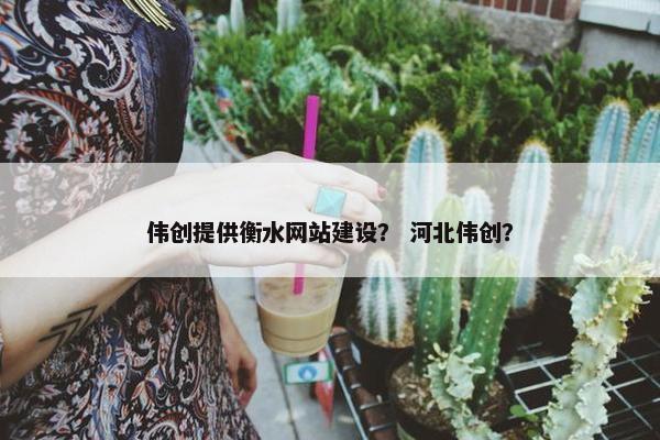 伟创提供衡水网站建设？ 河北伟创？
