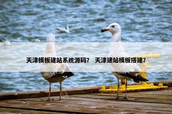 天津模板建站系统源码？ 天津建站模板搭建？