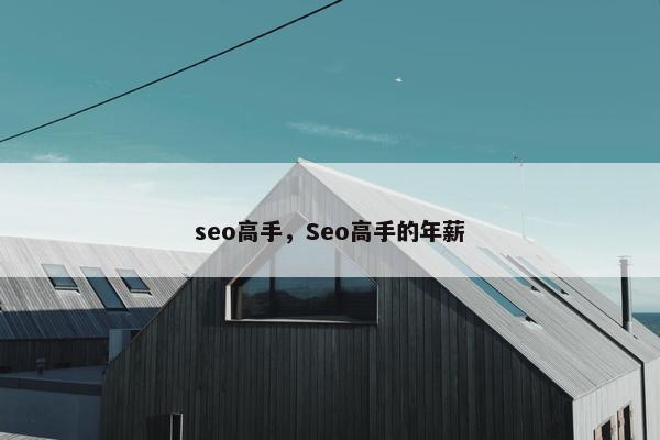 seo高手，Seo高手的年薪