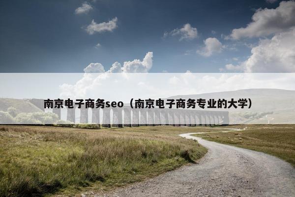 南京电子商务seo（南京电子商务专业的大学）