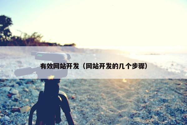 有效网站开发（网站开发的几个步骤）