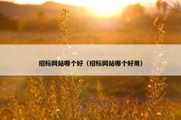 招标网站哪个好（招标网站哪个好用）