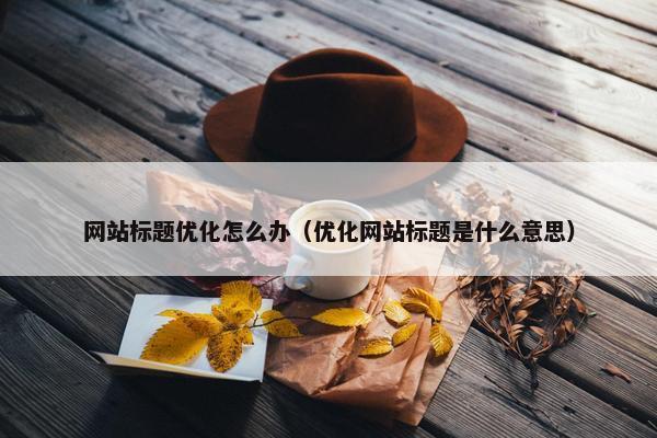 网站标题优化怎么办（优化网站标题是什么意思）