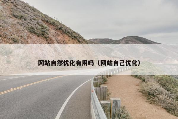 网站自然优化有用吗（网站自己优化）