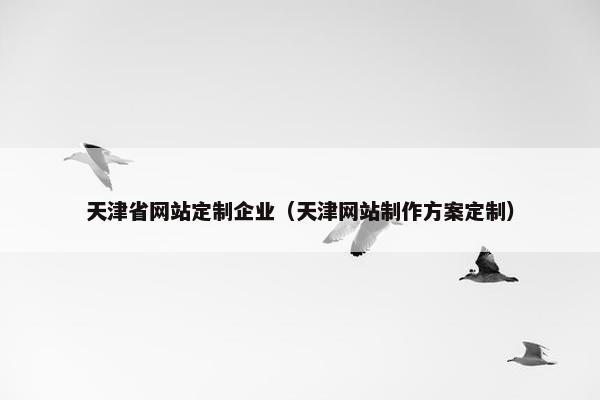 天津省网站定制企业（天津网站制作方案定制）