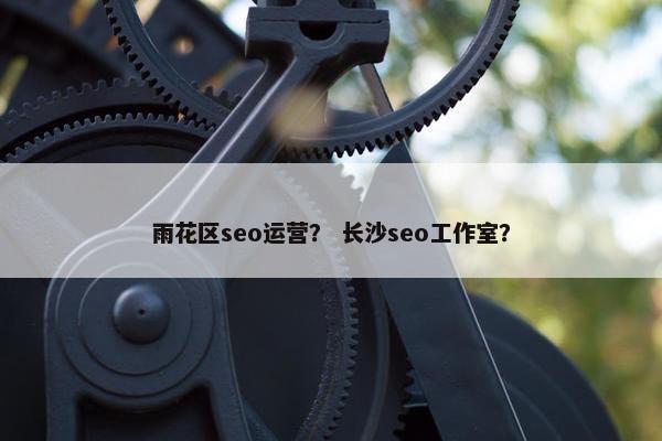 雨花区seo运营？ 长沙seo工作室？