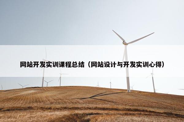网站开发实训课程总结（网站设计与开发实训心得）