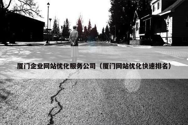 厦门企业网站优化服务公司（厦门网站优化快速排名）