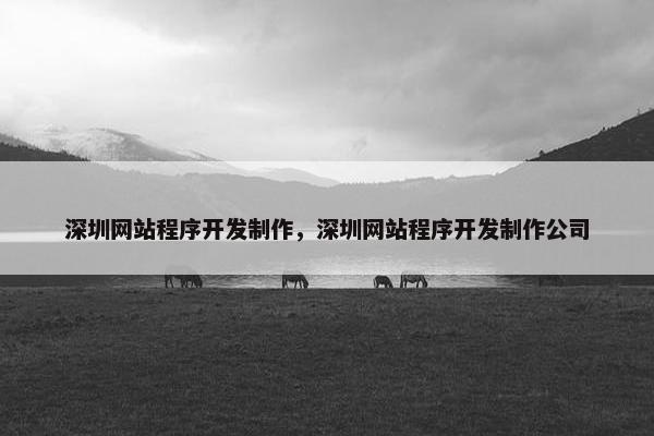 深圳网站程序开发制作，深圳网站程序开发制作公司