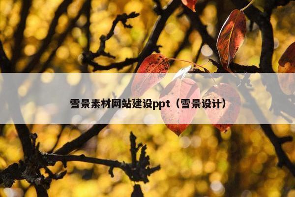 雪景素材网站建设ppt（雪景设计）