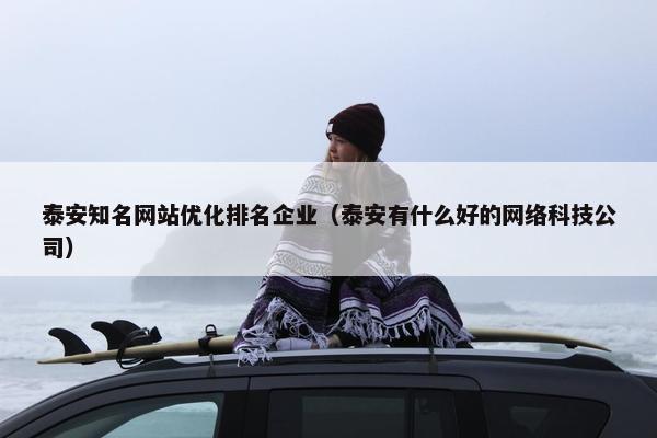 泰安知名网站优化排名企业（泰安有什么好的网络科技公司）