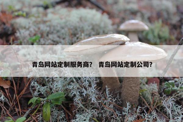 青岛网站定制服务商？ 青岛网站定制公司？