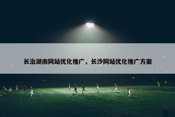 长治湖南网站优化推广，长沙网站优化推广方案