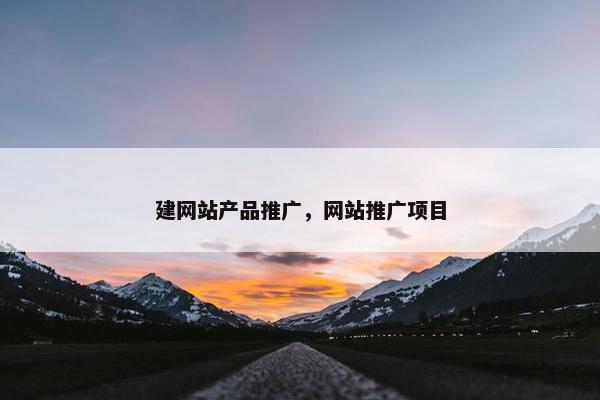 建网站产品推广，网站推广项目