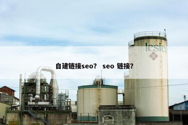自建链接seo？ seo 链接？