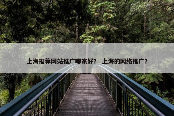 上海推荐网站推广哪家好？ 上海的网络推广？