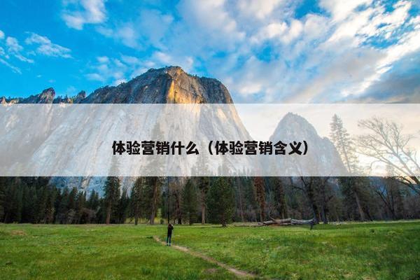 体验营销什么（体验营销含义）