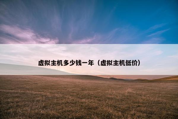 虚拟主机多少钱一年（虚拟主机低价）