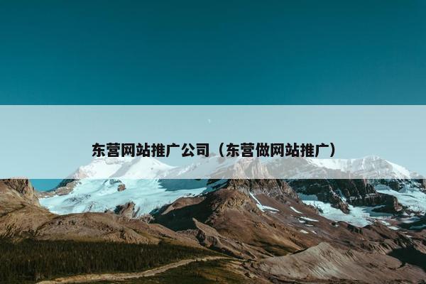 东营网站推广公司（东营做网站推广）