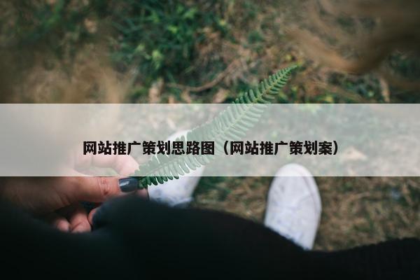 网站推广策划思路图（网站推广策划案）