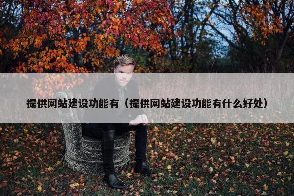 提供网站建设功能有（提供网站建设功能有什么好处）