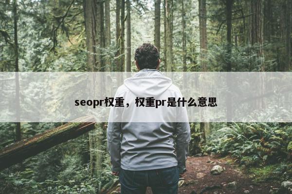 seopr权重，权重pr是什么意思