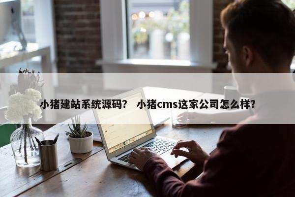 小猪建站系统源码？ 小猪cms这家公司怎么样？