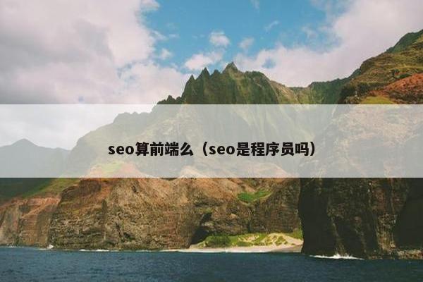 seo算前端么（seo是程序员吗）