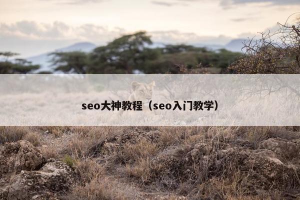 seo大神教程（seo入门教学）
