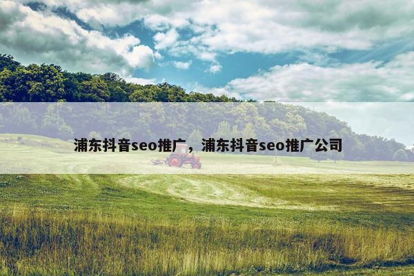 浦东抖音seo推广，浦东抖音seo推广公司