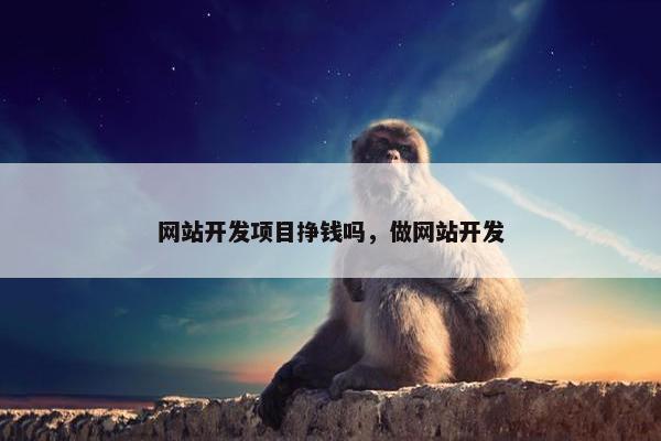 网站开发项目挣钱吗，做网站开发