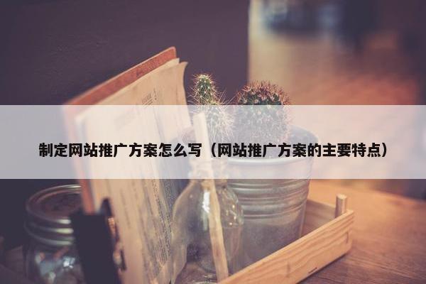 制定网站推广方案怎么写（网站推广方案的主要特点）