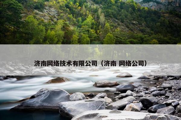 济南网络技术有限公司（济南 网络公司）