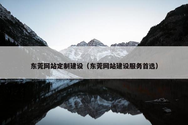 东莞网站定制建设（东莞网站建设服务首选）