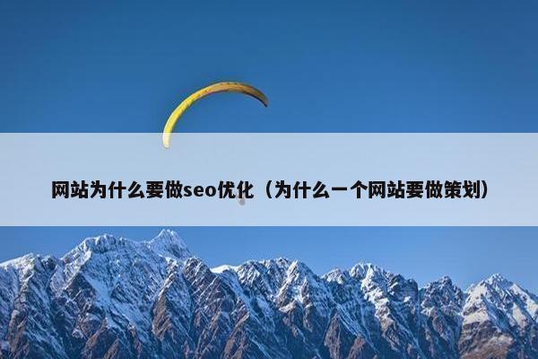 网站为什么要做seo优化（为什么一个网站要做策划）